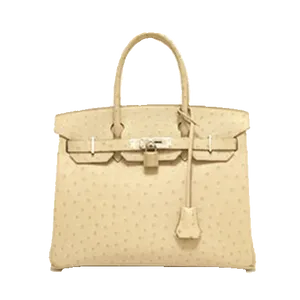 【2023年06月】エルメス バーキン 25 オーストリッチ パーシュマン 新品