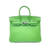 エルメス バーキン  ヴェールユッカ トゴ 25