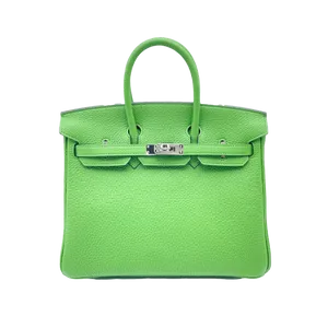 【2023年12月】エルメス バーキンシルバー金具 25 トゴ ヴェールユッカ 新品