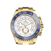 116688  イエローゴールド ホワイト 44mm