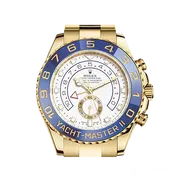 116688  イエローゴールド ホワイト 44mm