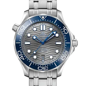 【2023年02月】オメガ シーマスター 210.30.42.20.06.001 ステンレススチール 42mm グレー 未使用品