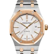 15400SR ステンレススチール シルバー