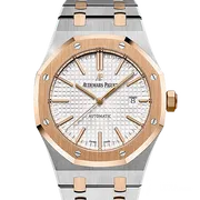 15400SR ステンレススチール シルバー