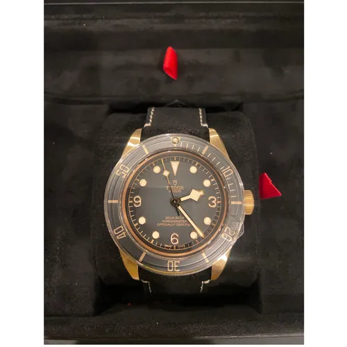 M79250BA-0001 革ベルト